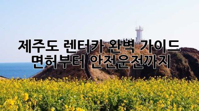 제주도 렌터카 완벽 가이드: 면허부터 안전운전까지!