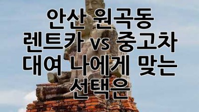 안산 원곡동 렌트카 vs 중고차 대여: 나에게 맞는 선택은?